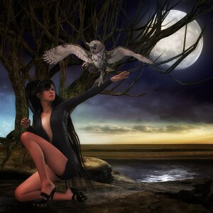Owl landscape fantasy. Free illustration for personal and commercial use.