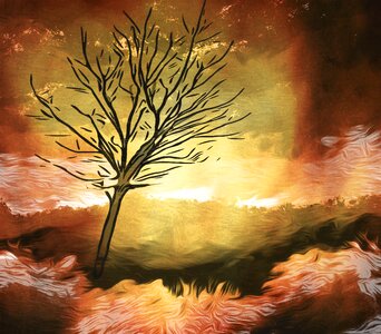 Flames tree burning. Free illustration for personal and commercial use.