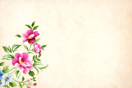 Pink Floral Paper Background - Free Stock Photo by mohamed hassan