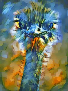 Bird color emu. Free illustration for personal and commercial use.
