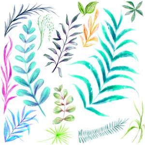 Group of sheets plants vegetation. Free illustration for personal and commercial use.