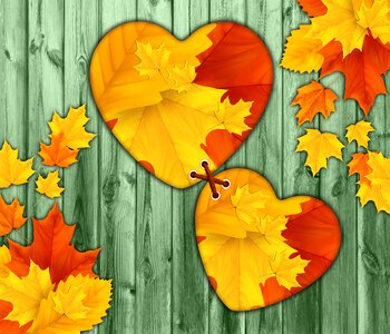 Leaves autumn leaves design. Free illustration for personal and commercial use.