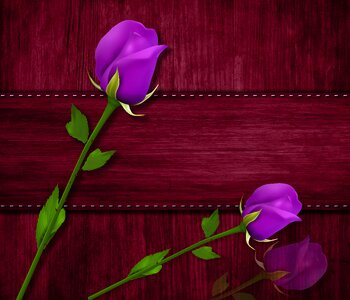 Flowers design background purple. Free illustration for personal and commercial use.