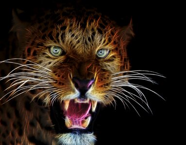 Animal animal world wildcat. Free illustration for personal and commercial use.