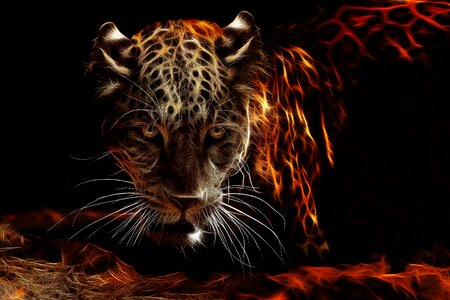 Fiery predator Free illustrations. Free illustration for personal and commercial use.
