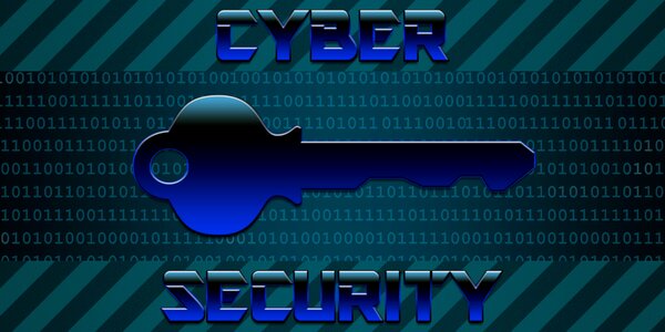 Network cyber security. Free illustration for personal and commercial use.