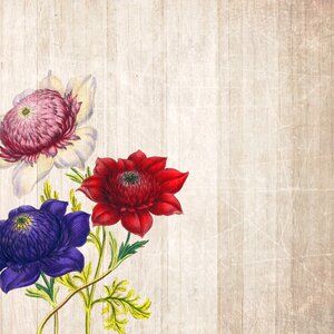 Flowers scrapbooking paper. Free illustration for personal and commercial use.