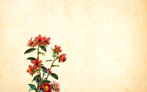 Vintage roses bouquet. Free illustration for personal and commercial use.
