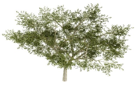 3d nature green. Free illustration for personal and commercial use.
