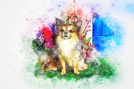 Art watercolor chihuahua. Free illustration for personal and commercial use.