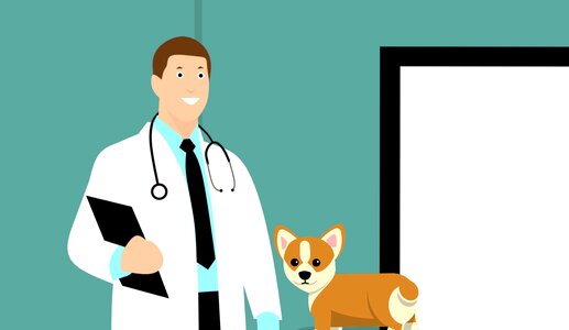 Puppy canine veterinarian. Free illustration for personal and commercial use.