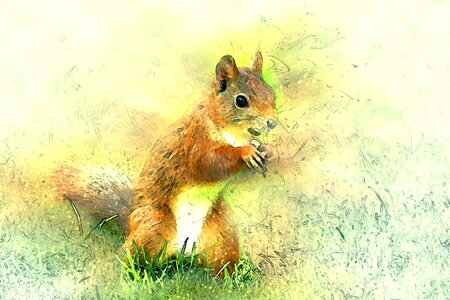 Sciurus vulgaris major foraging garden. Free illustration for personal and commercial use.