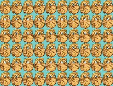 Owl design owlet drawing. Free illustration for personal and commercial use.