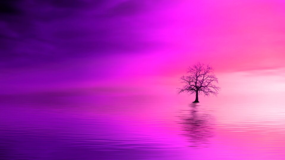 Pink dawn landscape. Free illustration for personal and commercial use.