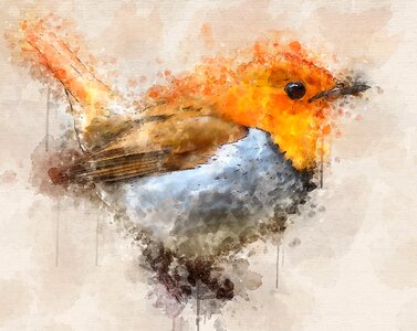 Bird painting watercolour. Free illustration for personal and commercial use.