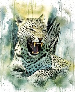 Animal nature wildcat. Free illustration for personal and commercial use.