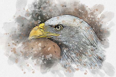 Eagle animal gimp. Free illustration for personal and commercial use.