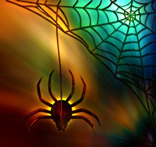 Insect halloween background. Free illustration for personal and commercial use.