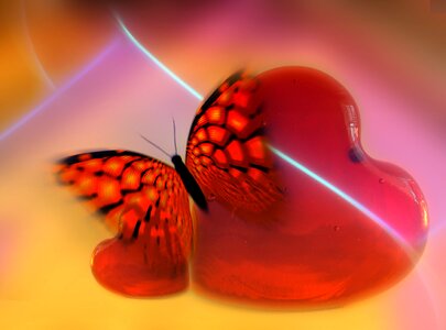 Abstract butterfly relationship. Free illustration for personal and commercial use.