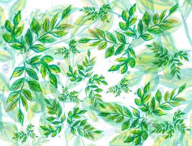 Nature plant texture. Free illustration for personal and commercial use.