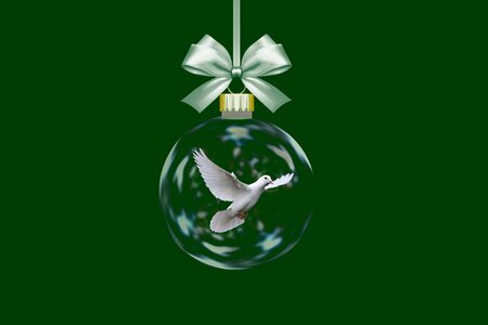 Harmony seagull christmas card. Free illustration for personal and commercial use.