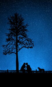 Dog night starry sky. Free illustration for personal and commercial use.