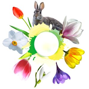 Spring awakening easter flower. Free illustration for personal and commercial use.