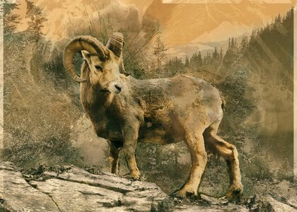 Ungulate climbing national park. Free illustration for personal and commercial use.