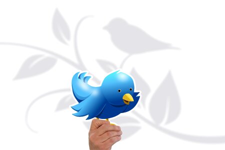 Tweet chirrup icon. Free illustration for personal and commercial use.