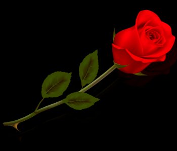 Love plant red rose. Free illustration for personal and commercial use.