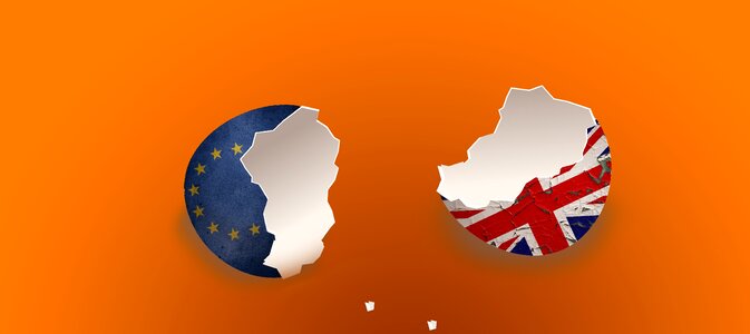 Eu policy referendum. Free illustration for personal and commercial use.