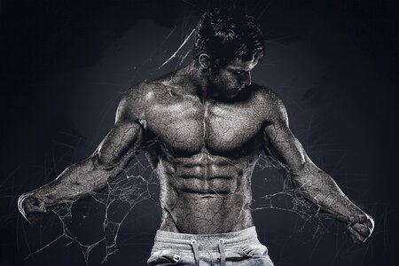 Male fitness muscle. Free illustration for personal and commercial use.