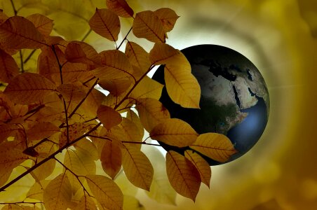 Autumn globe earth. Free illustration for personal and commercial use.