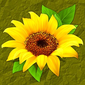 Sunflower background texture. Free illustration for personal and commercial use.
