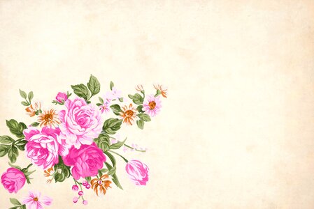 Border garden frame vintage. Free illustration for personal and commercial use.