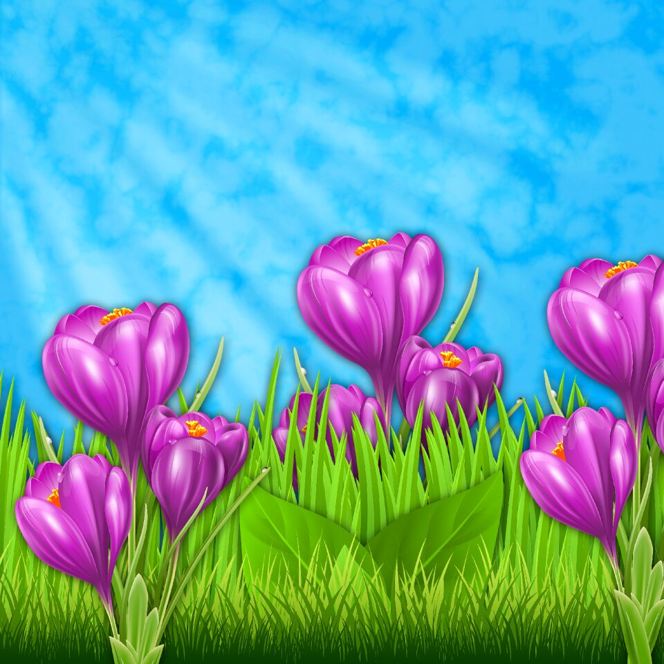 Flower lawn ray of sunshine. Free illustration for personal and commercial use.