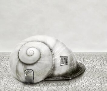 Shell house shells. Free illustration for personal and commercial use.