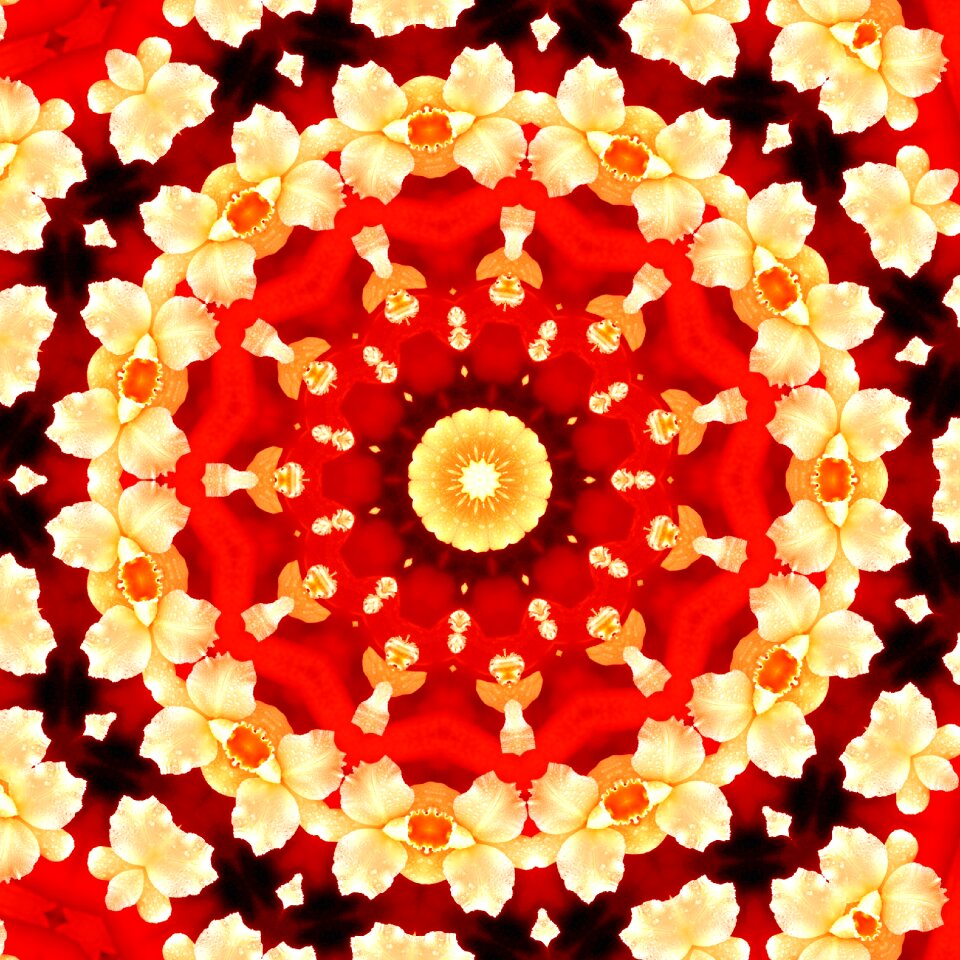 Floral background floral art colorful. Free illustration for personal and commercial use.