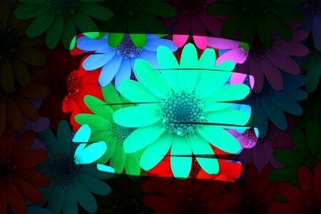 Flowers colorful Free illustrations. Free illustration for personal and commercial use.