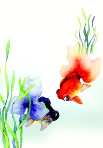 Illustration goldfish Free illustrations. Free illustration for personal and commercial use.