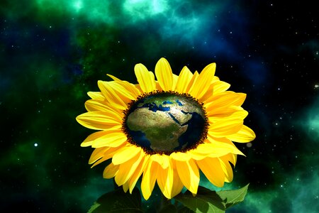 Sunflower globe space. Free illustration for personal and commercial use.