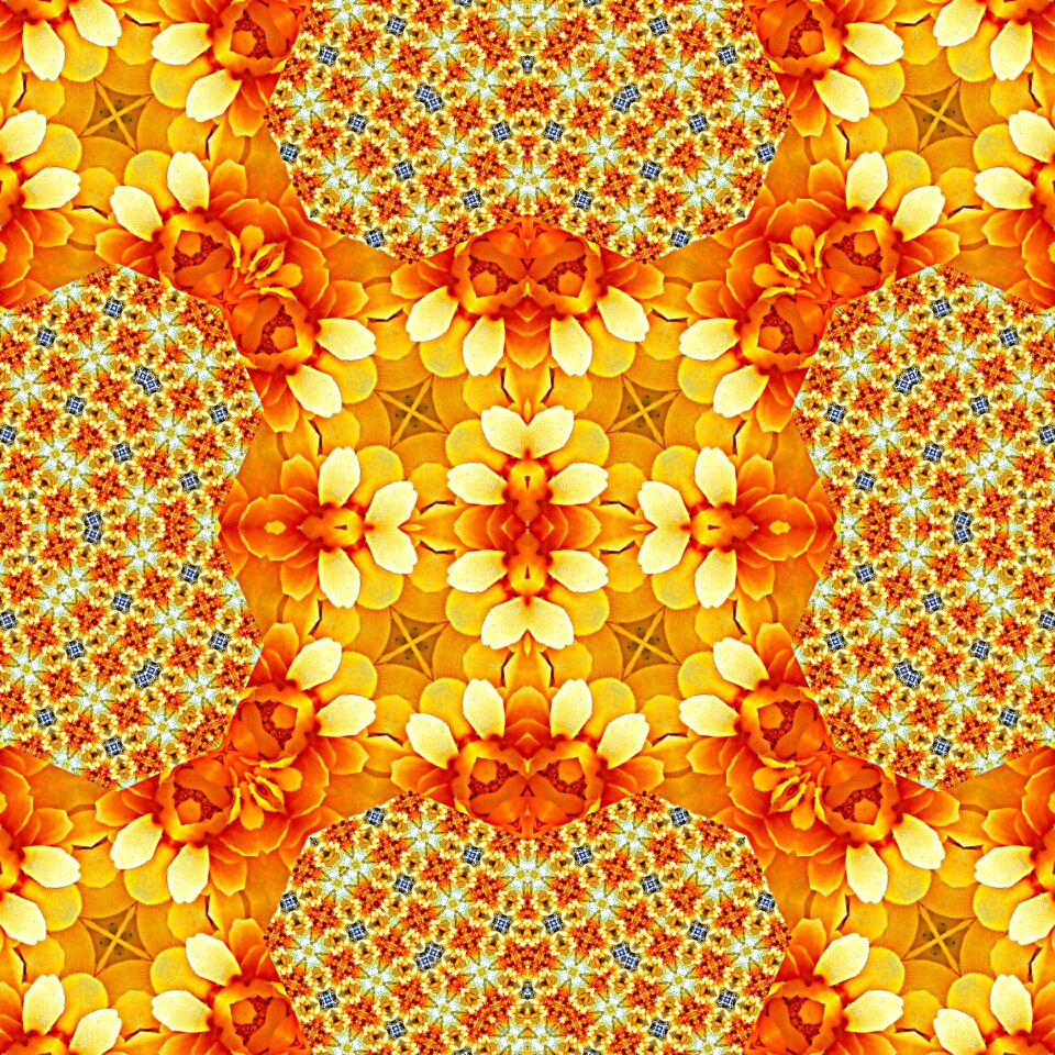 Flowers yellow Free illustrations. Free illustration for personal and commercial use.