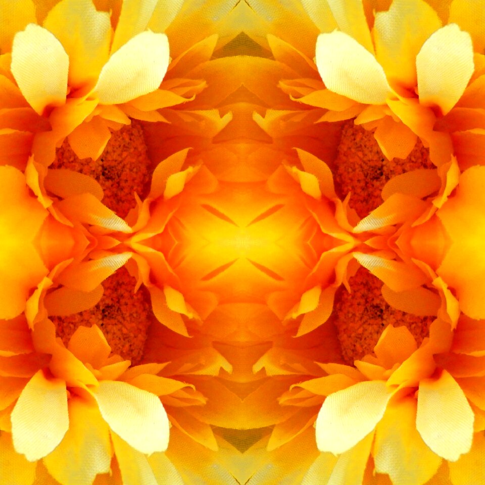 Flowers yellow Free illustrations. Free illustration for personal and commercial use.