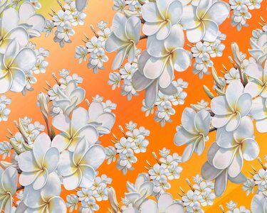 Floral decoration pattern. Free illustration for personal and commercial use.