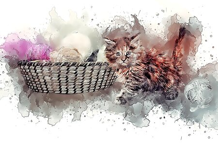 Ball of wool playful domestic cat. Free illustration for personal and commercial use.