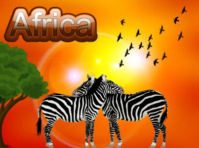 Zebra birds wildlife. Free illustration for personal and commercial use.