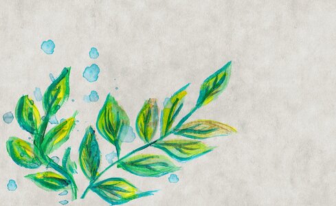 Nature plant texture. Free illustration for personal and commercial use.