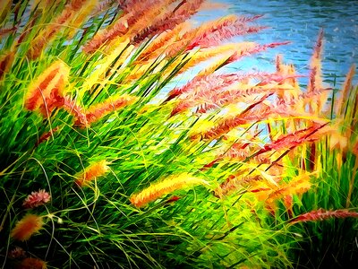 Colorful nature outdoor. Free illustration for personal and commercial use.