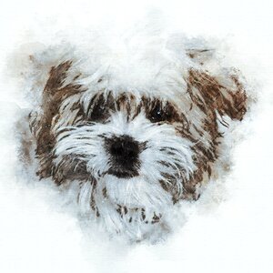 Small dog head animal. Free illustration for personal and commercial use.