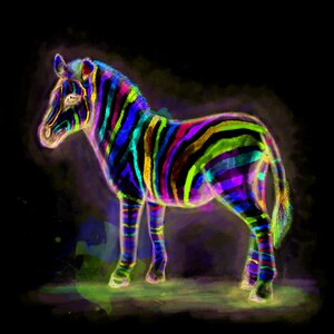 Horses animal zebra. Free illustration for personal and commercial use.
